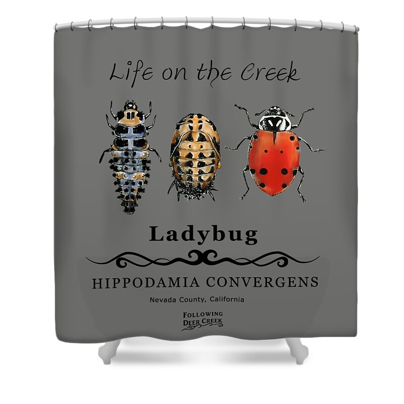 Ladybug Shower Curtain featuring the digital art Ladybug Life Cycle by Lisa Redfern