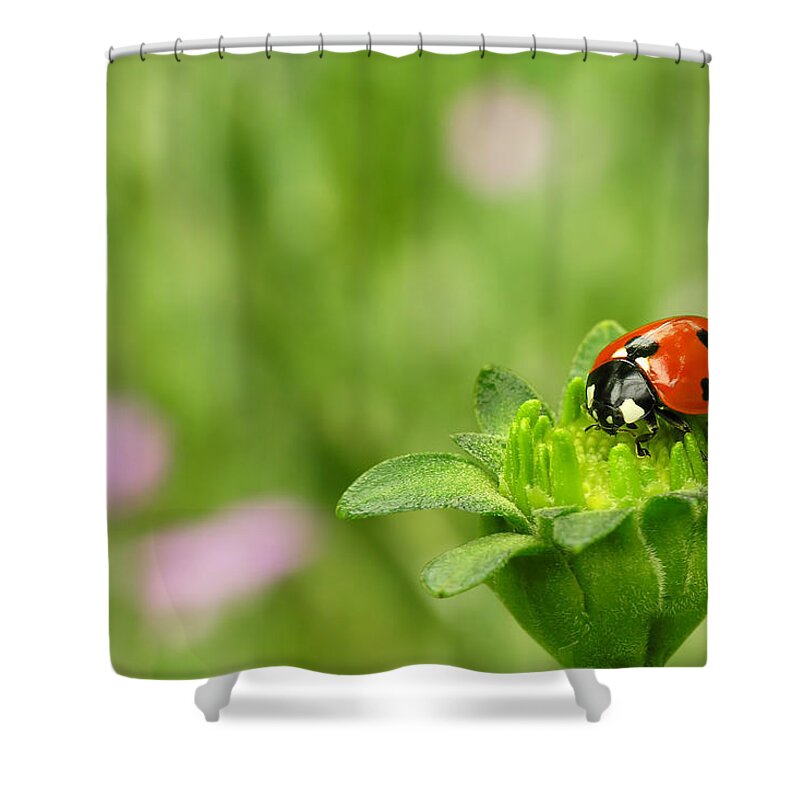 Insect Shower Curtain featuring the photograph Ladybug Sitting On A Green Flower by Macroworld