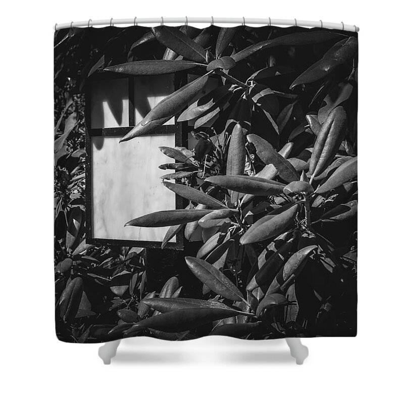 Lamp Shower Curtain featuring the photograph Lamp in Mukilteo by Anamar Pictures