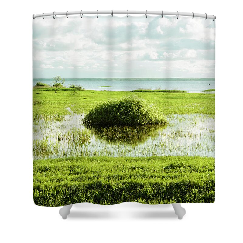 Tranquility Shower Curtain featuring the photograph Large Bush In Swamp by Dmitry Savin