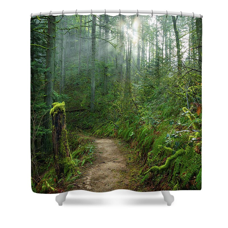 Latourell Trail Shower Curtain featuring the photograph Latourell Trail by Chris Steele