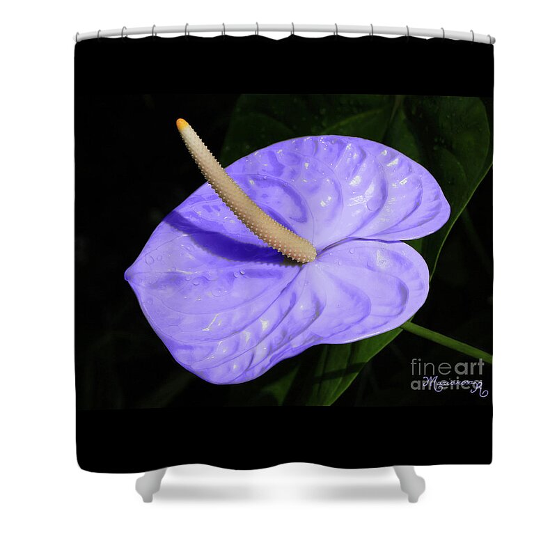 Nature Shower Curtain featuring the photograph Lavender Anthurium by Mariarosa Rockefeller