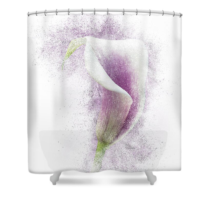 Calla Shower Curtain featuring the photograph Lavender Calla Lily Flower by Patti Deters