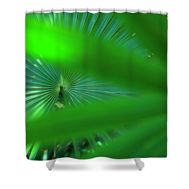 Latin America Shower Curtain featuring the photograph Leaf Detail by Holger Leue