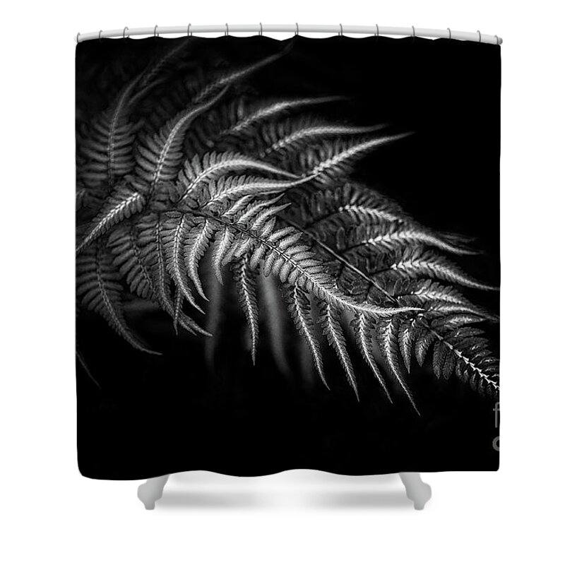 Botanical Shower Curtain featuring the photograph Lean on Me by Venetta Archer