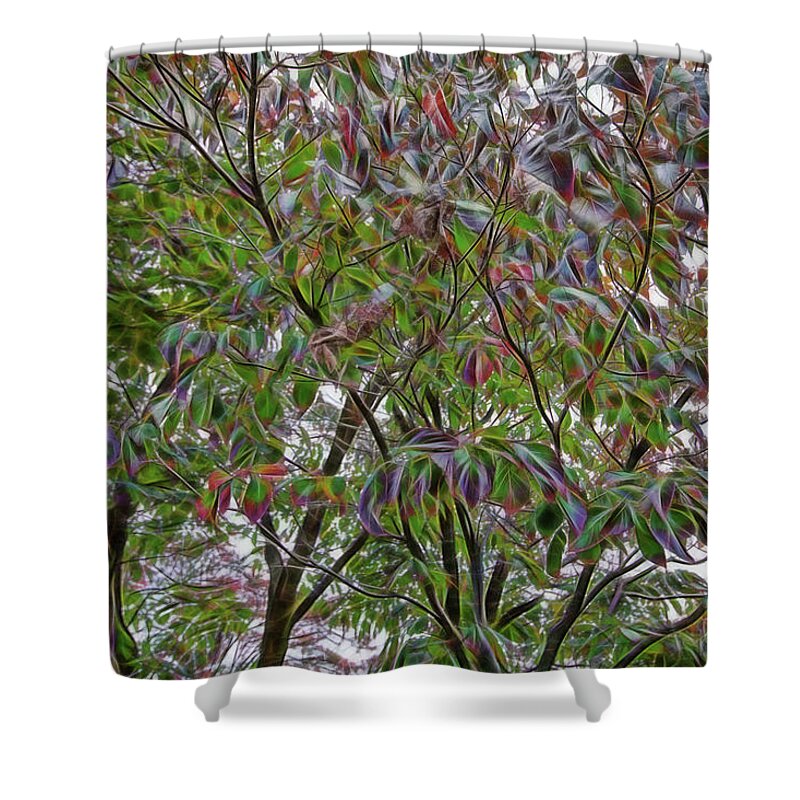 Nature Shower Curtain featuring the photograph Leaves full of Color by Crystal Wightman