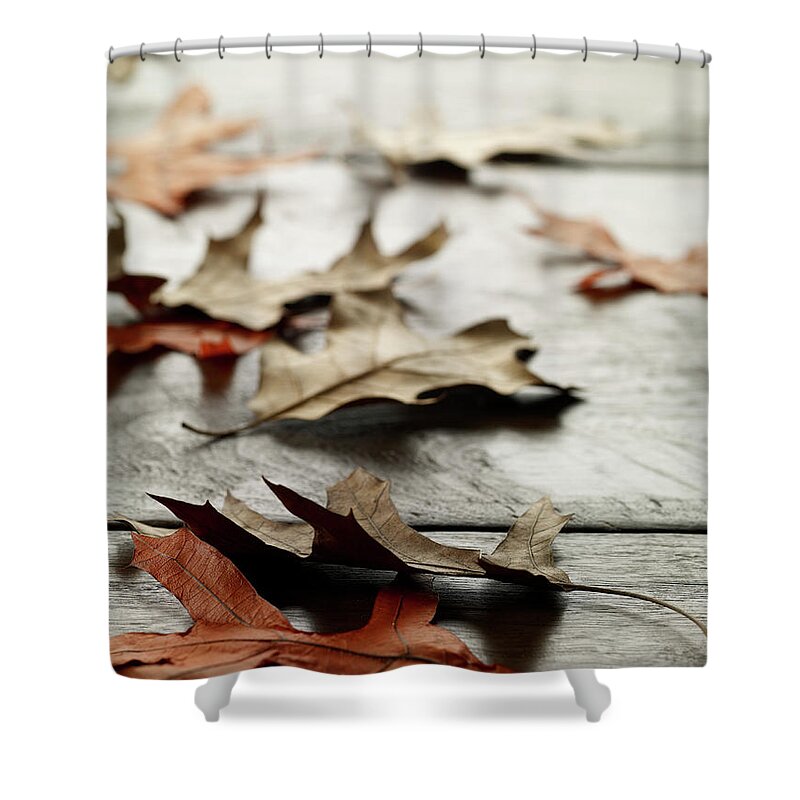 Environmental Conservation Shower Curtain featuring the photograph Leaves by Shana Novak