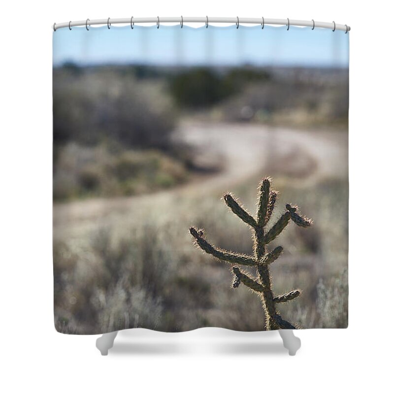 New Mexico Desert Shower Curtain featuring the photograph Left at Albuquerque by Robert WK Clark