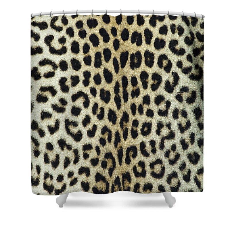 Material Shower Curtain featuring the photograph Leopard Skinhide by Herkisi