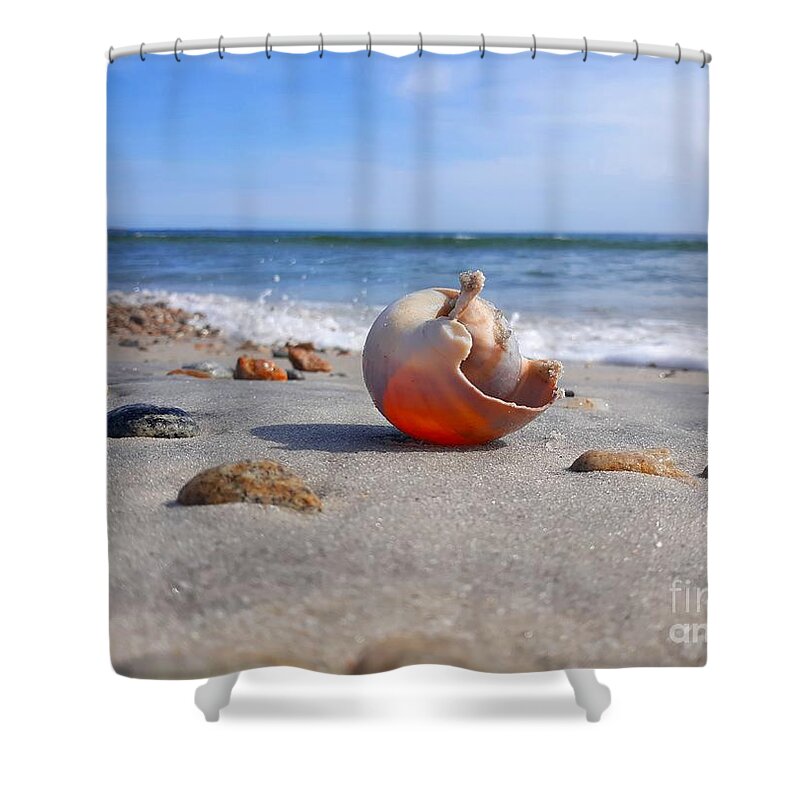 Shell Shower Curtain featuring the photograph Let The Sunshine In/ Inner Peace by Dani McEvoy
