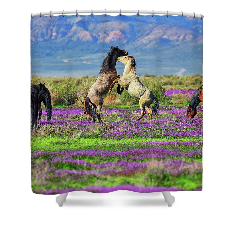 Horses Shower Curtain featuring the photograph Let's Dance by Greg Norrell