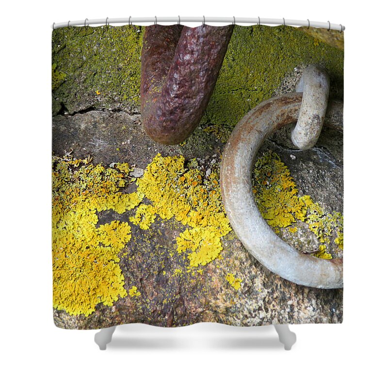 Nh Shower Curtain featuring the photograph Life Among Rings by Vicky Edgerly