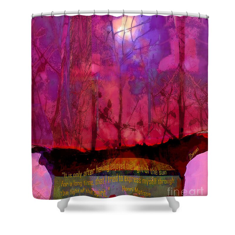 Matisse Shower Curtain featuring the mixed media Light of Spirit Matisse by Zsanan Studio