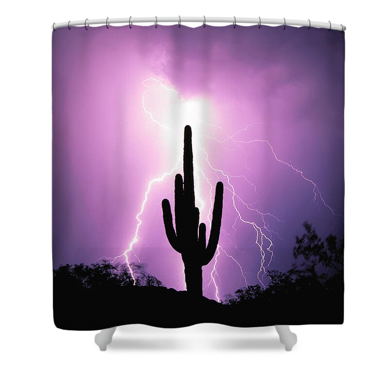 Arizona Shower Curtain featuring the photograph Lightning Strikes 3 by Worldwideimages