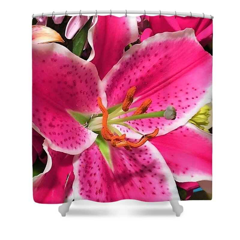  Shower Curtain featuring the photograph Lilly by Robert Walters