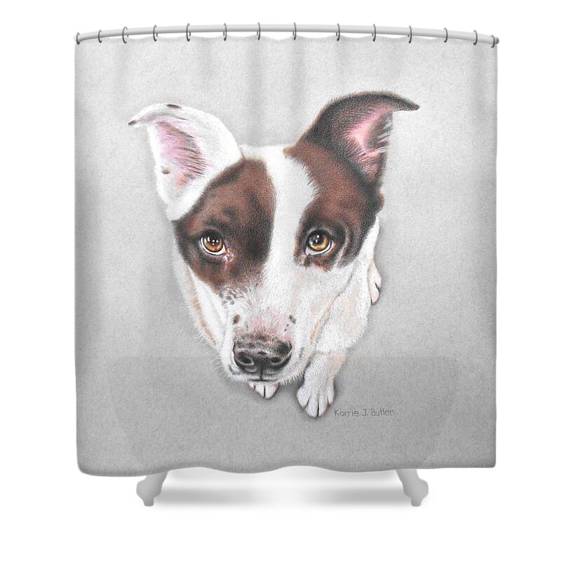 Dog Shower Curtain featuring the drawing Lily by Karrie J Butler