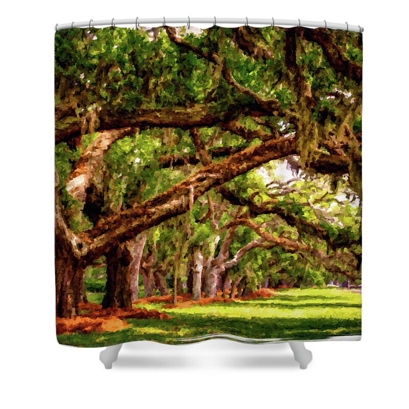 Charleston Shower Curtain featuring the photograph LIne of Oaks Art by Darryl Brooks