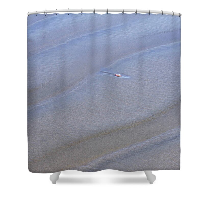 Lines Shower Curtain featuring the photograph Lines by Cheryl Day