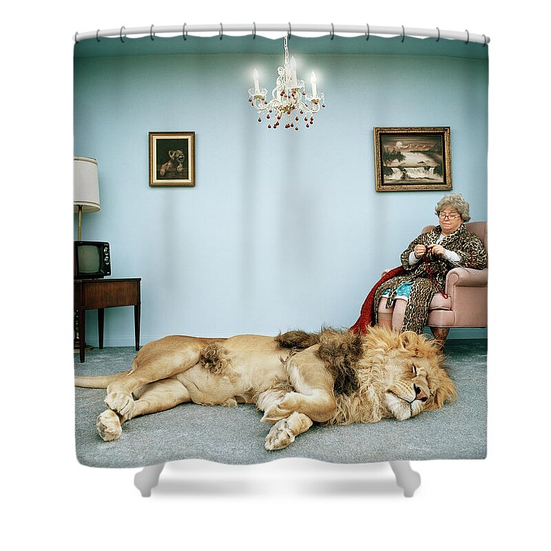 Pets Shower Curtain featuring the photograph Lion Lying On Rug, Mature Woman Knitting by Matthias Clamer