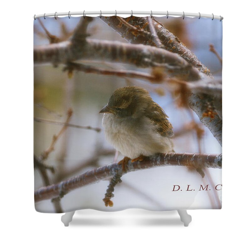 Little Bird Shower Curtain featuring the photograph Little Bird Near by Donna L Munro