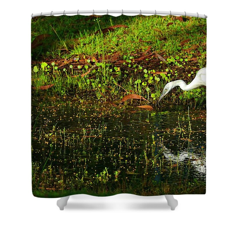Little Blue Heron Shower Curtain featuring the photograph Little Blue Heron by Don Columbus