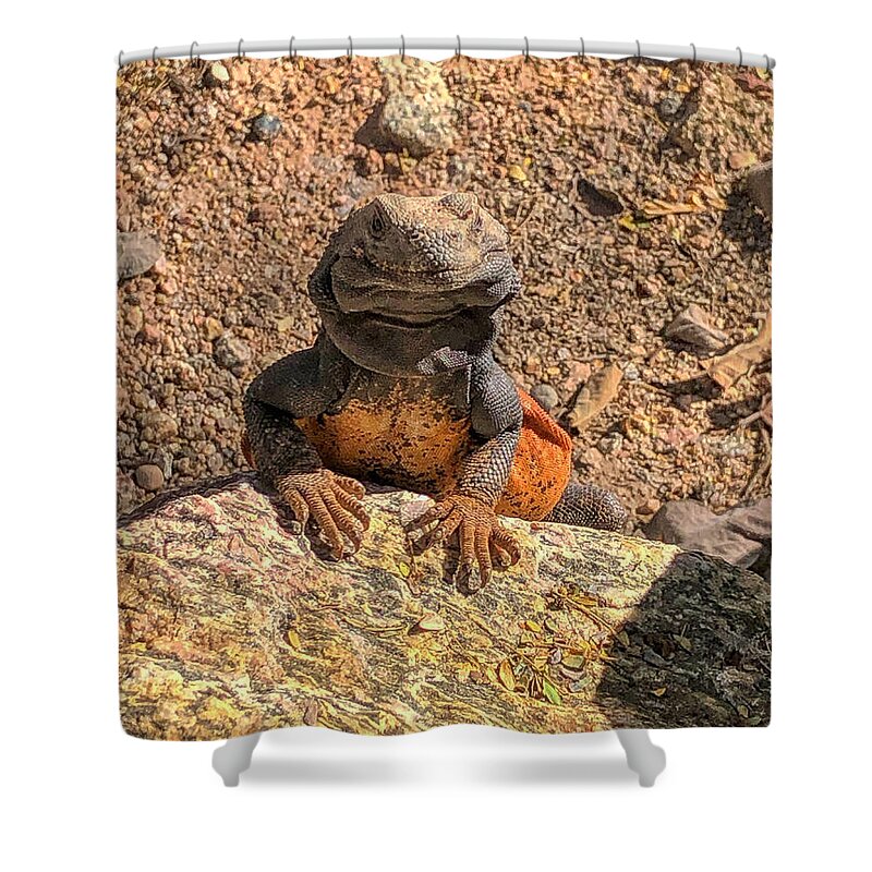 Lizard Shower Curtain featuring the photograph Lizard Portrait by Anthony Giammarino