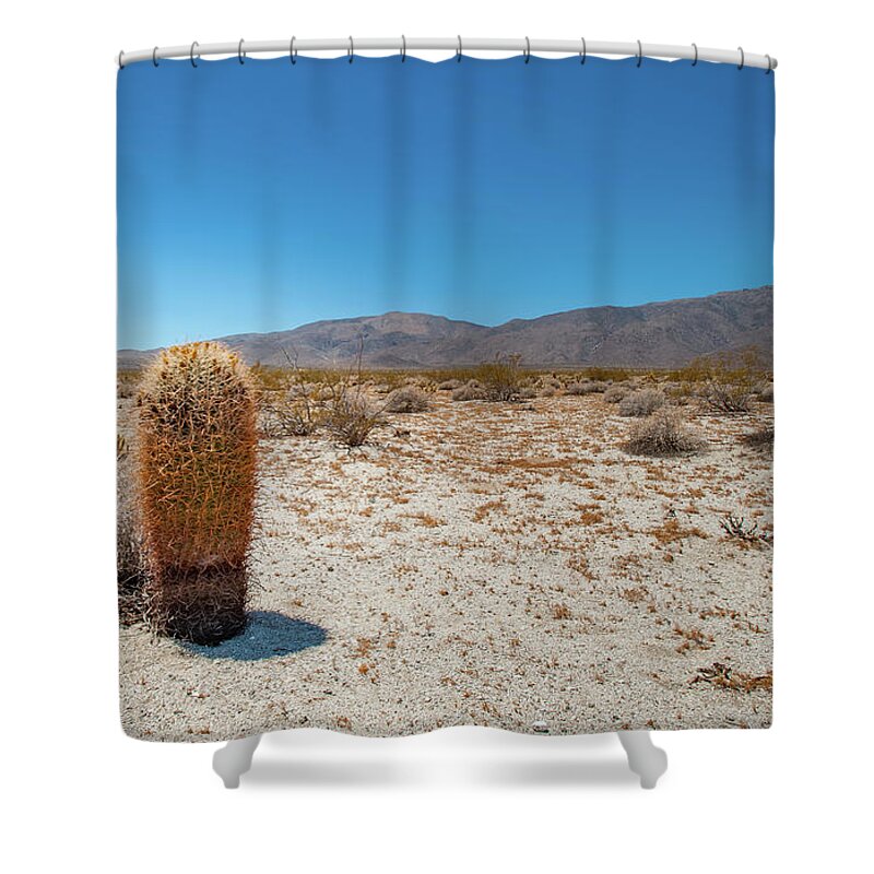 Anza-borrego Desert State Park Shower Curtain featuring the photograph Lone Barrel Cactus by Mark Duehmig