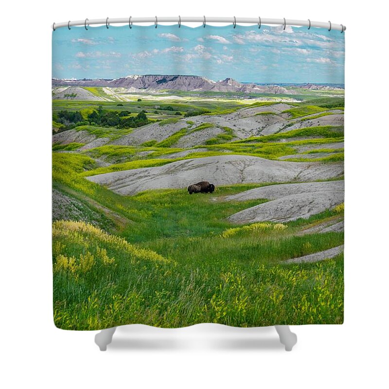 Landscape Shower Curtain featuring the photograph Lone Buffalo by Susan Rydberg