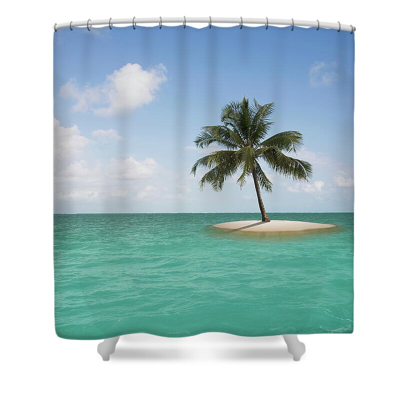 Fan Palm Tree Shower Curtain featuring the photograph Lone Palm Tree On Small Island by John Lund