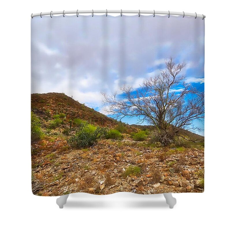 Arizona Shower Curtain featuring the photograph Lone Palo Verde by Judy Kennedy
