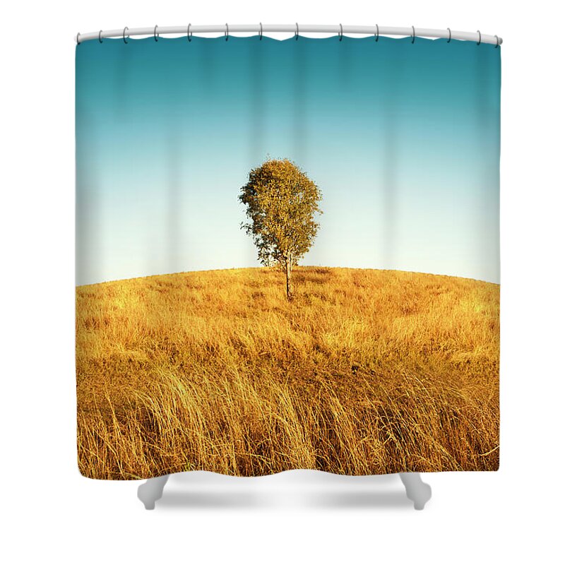 Scenics Shower Curtain featuring the photograph Lone Tree by Quirex
