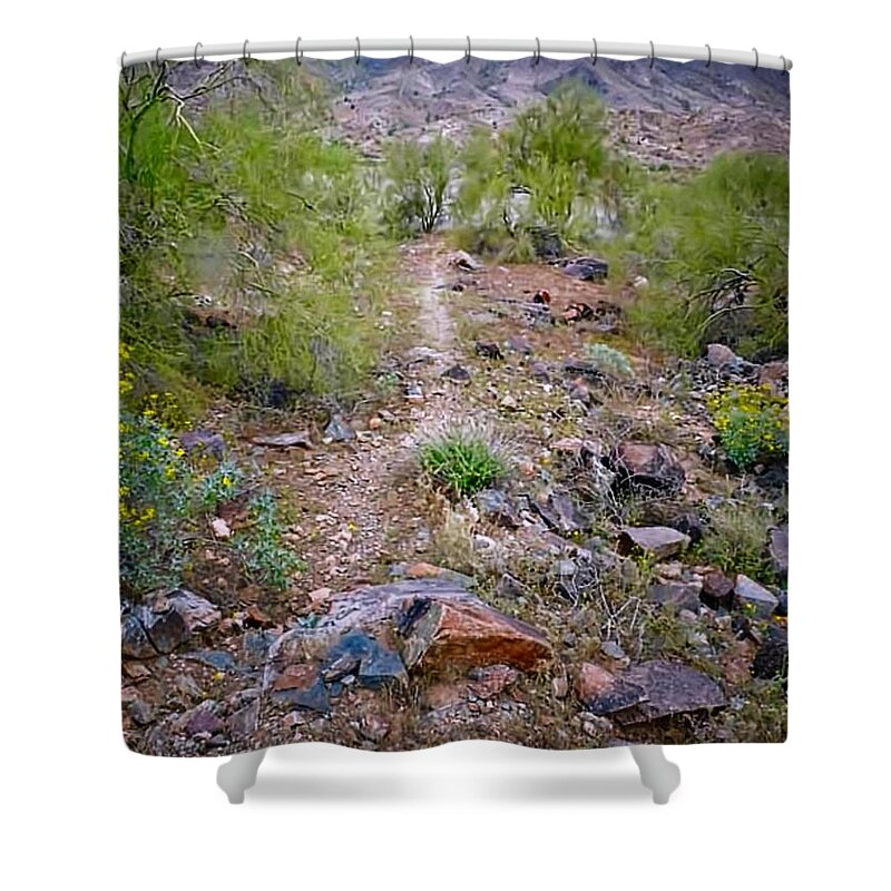 Affordable Shower Curtain featuring the photograph Long Way to Go by Judy Kennedy