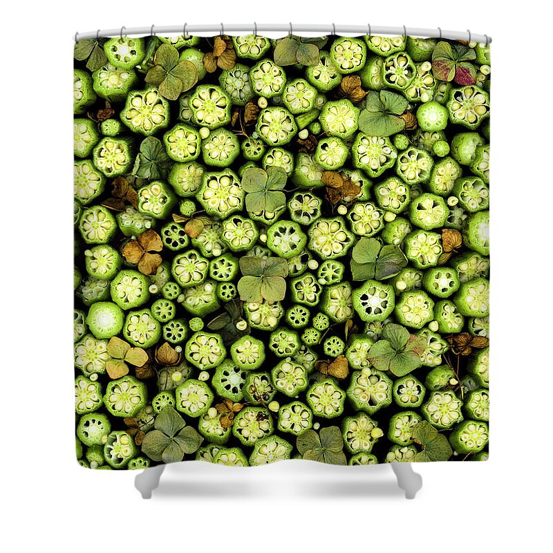 Okra Shower Curtain featuring the photograph Look Inside Okra by Sarah Phillips