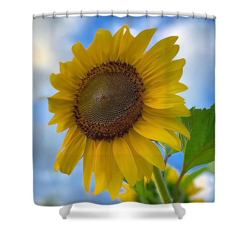 Sunflower Shower Curtain featuring the photograph Look To The Sun by Brian Eberly