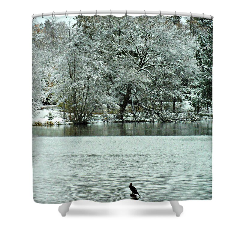Look Up Not Down Shower Curtain featuring the photograph Look Up Not Down by Cyryn Fyrcyd
