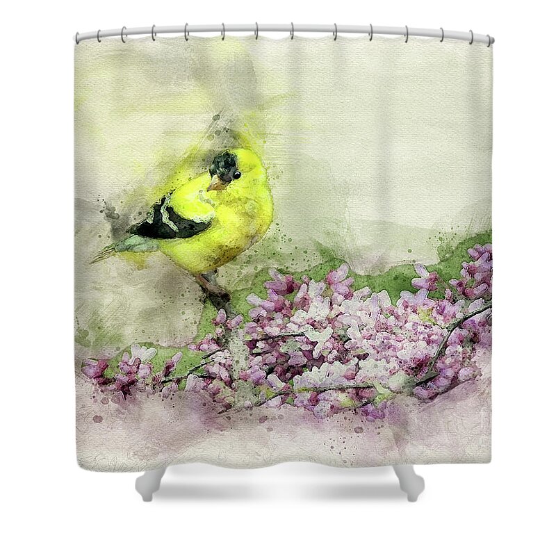 Bird Shower Curtain featuring the digital art Looking For Love by Lois Bryan