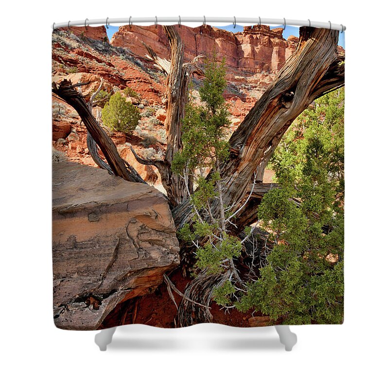 Valley Of The Gods Shower Curtain featuring the photograph Looking Skyward in Valley of the Gods by Ray Mathis