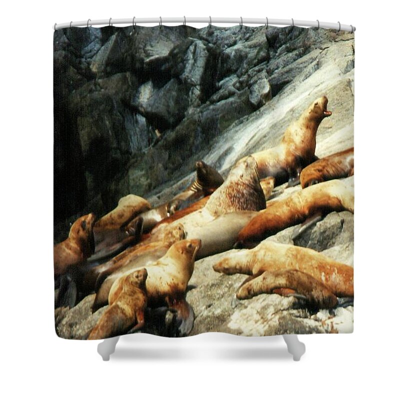 Travel Shower Curtain featuring the photograph Lounging Around Alaska by Karen Stansberry