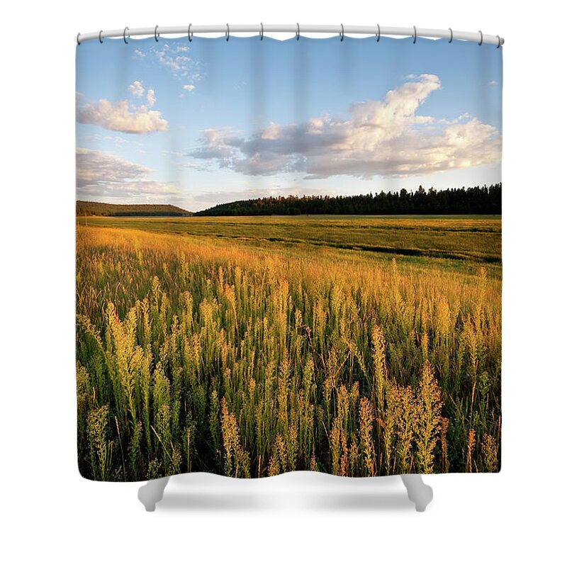 Arizona Shower Curtain featuring the photograph Lower Lake Mary at Sunset by Jeff Goulden