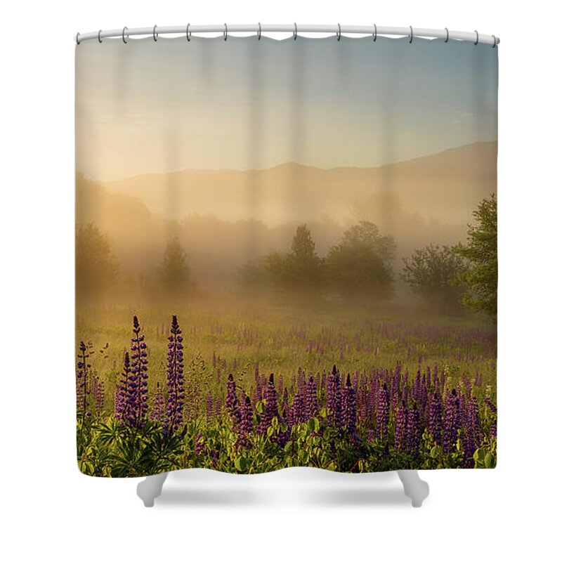 Amazing New England Artworks Shower Curtain featuring the photograph Lupine In The Fog, Sugar Hill, NH by Jeff Sinon