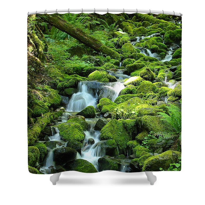 Outdoors Shower Curtain featuring the photograph Lush Forest by Stephanhoerold