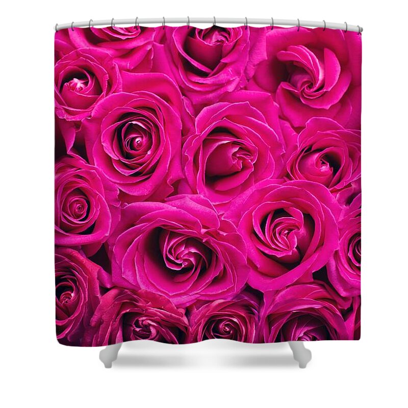Flower Shower Curtain featuring the photograph Magenta roses by Top Wallpapers