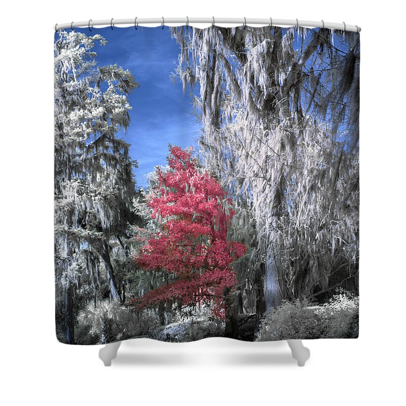 Garden Shower Curtain featuring the photograph Magnolia Plantation in Red by Jon Glaser