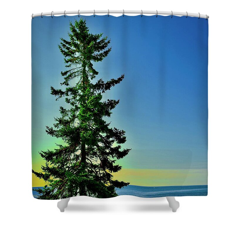 Maine Christmas Shower Curtain featuring the photograph Maine Christmas by Debra Grace Addison