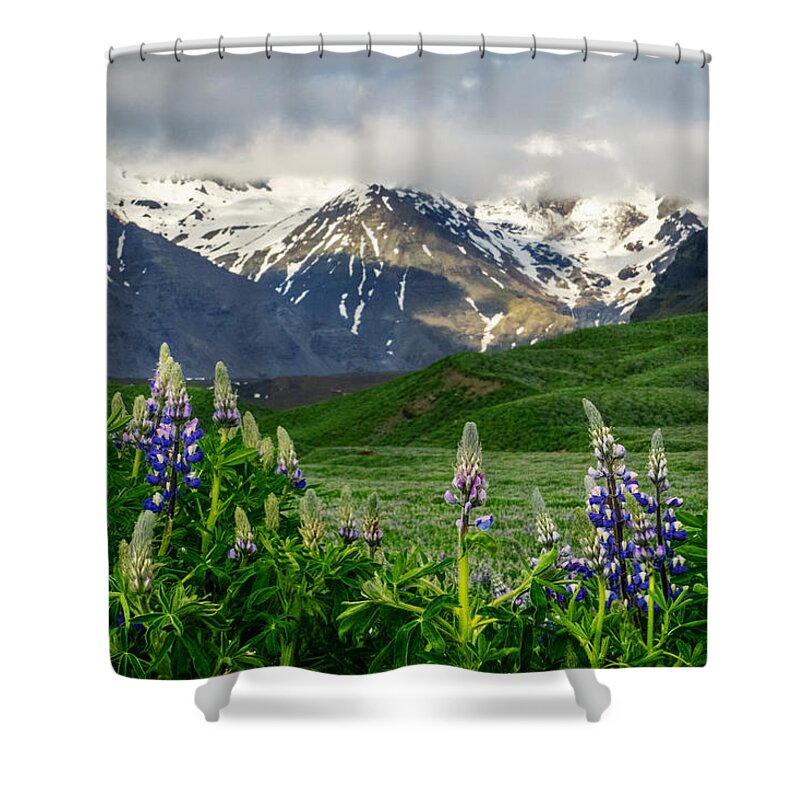 Lazy Shower Curtain featuring the photograph Majestic Mountains by Amanda Jones
