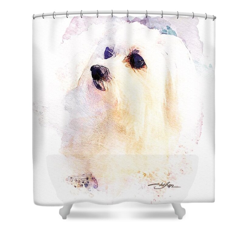 Maltese Shower Curtain featuring the mixed media Maltese -Miss Cookie by Shehan Wicks