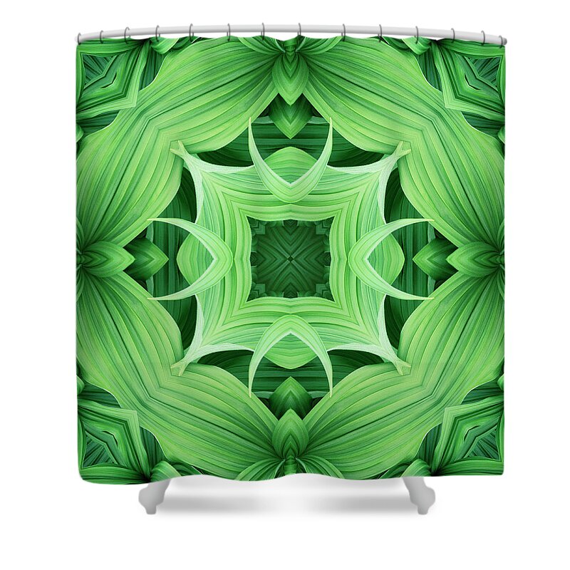 Symmetry Shower Curtain featuring the photograph Mandala 5 by Steve Satushek