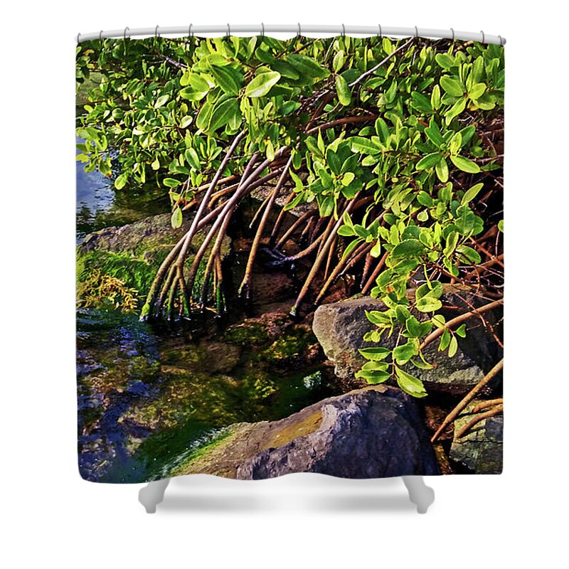 Mangrove Shower Curtain featuring the photograph Mangrove Bath by Climate Change VI - Sales