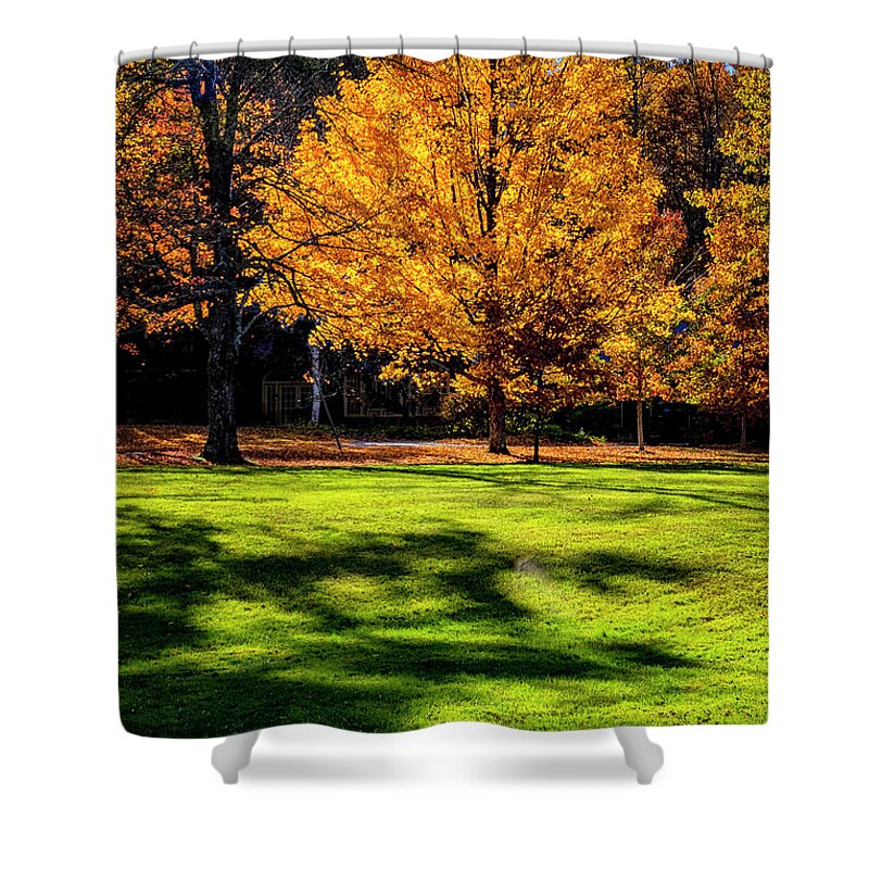 Hayward Garden Putney Vermont Shower Curtain featuring the photograph Maple Tree in Fall Color by Tom Singleton