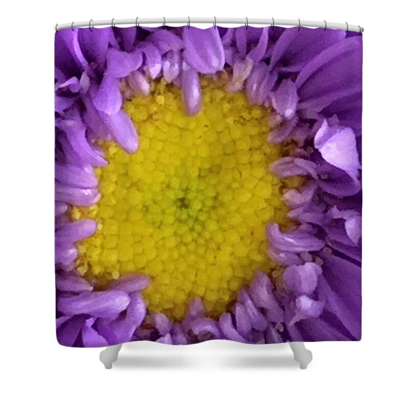 Sunflower Shower Curtain featuring the photograph Mardi Gras Girasol by Tiesa Wesen